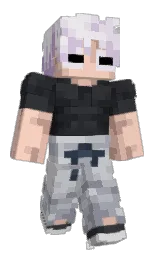 aluminium and french gray Minecraft skin — Classic model — first worn by Cadrivori