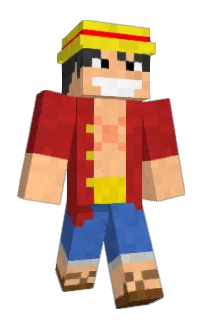 dje's Minecraft skin