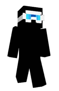 Front of ptols's skin