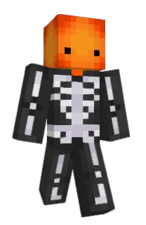 Front of Orangeiz's skin