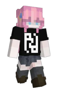 Front of celsior's skin