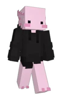 Front of Minecraft skin