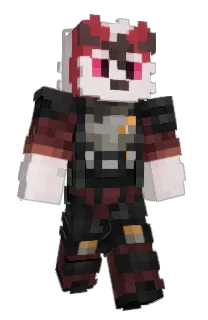 Front of DniMx's skin