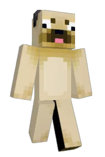 a55_lover Minecraft avatar full body