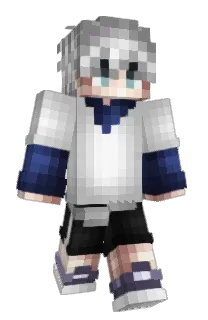 Front of Comstepr's skin