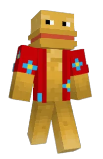 Front of Allyri's skin