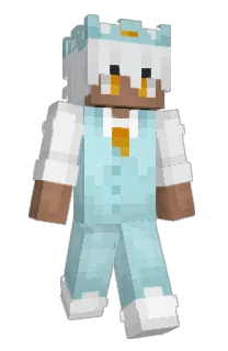 Front of Plonky9's skin