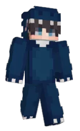 Minecraft skin — Classic model