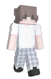 Front of aemf's skin