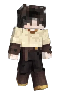 Front of IIDroids's skin