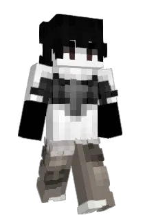 Front of Pleit's skin