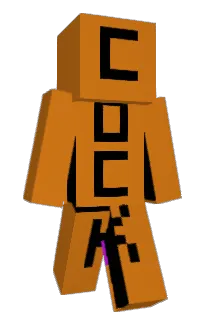rwrst's Minecraft skin