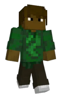 Front of asqule's skin