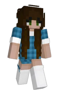 Front of sixxthirty's skin