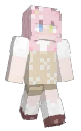 Minecraft skin — Classic model