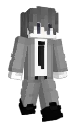 dusty gray and gray Minecraft skin — Classic model