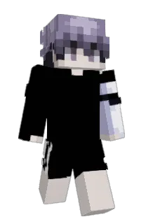 Front of ilybia's skin