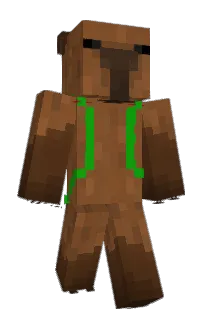 Front of Minecraft skin