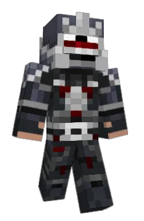 Front of NBAhasin's skin