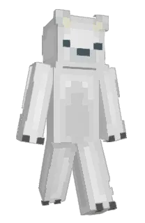 Front of plushie2010's skin