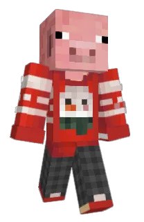 Front of Minecraft skin