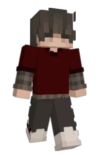 Front of Damascy's skin