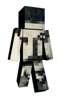 Front of AIM_9M's skin