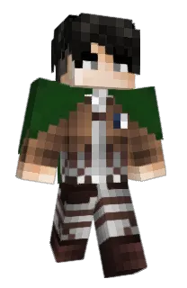 Front of Krozick's skin