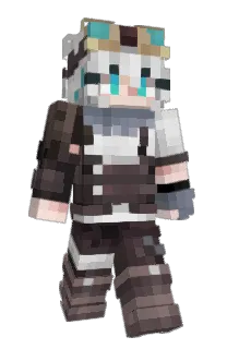 Front of jinhaWOT's skin