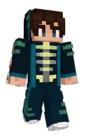 Skin preview
