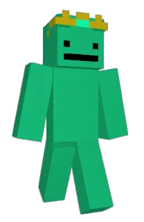 Front of frraise's skin
