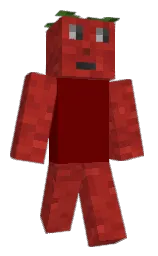lonestar and mexican red Minecraft skin — Classic model