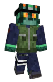 Skin preview