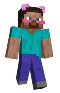 Front of Tc108's skin