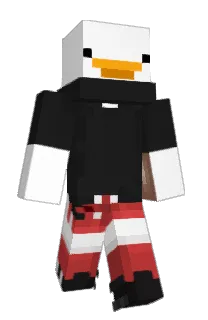 Front of Minecraft skin