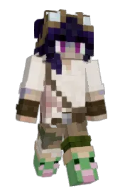 Skin preview