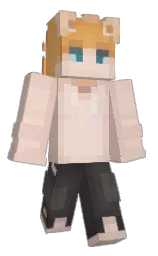 porsche and bone Minecraft skin — Classic model