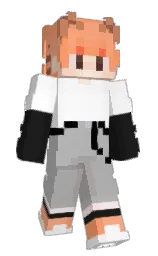 nobel and atomic tangerine Minecraft skin — Slim model — first worn by bigtubbb