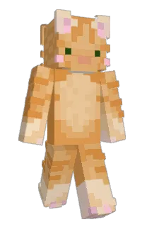 Front of axolotlboy2016's skin