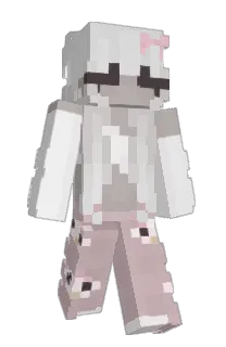 Front of Nemjity's skin