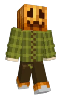 Front of Wojtas1923's skin