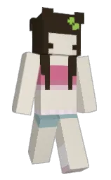 Slim Minecraft skin
