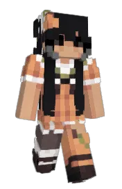 Skin preview