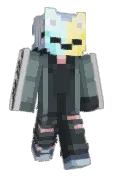 NovaVoidFox