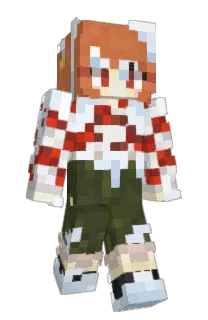 Front of Kh29D's skin