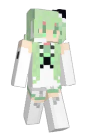 Skin preview
