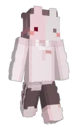 lovo0134's Minecraft skin wearing the Migrator cape