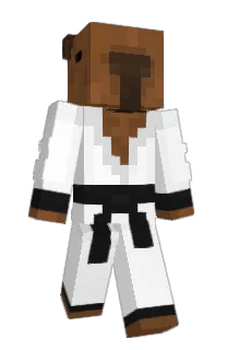 FranckCY's Minecraft skin