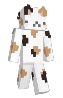 Front of y4z's skin