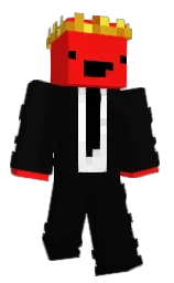 Minecraft skin — Classic model